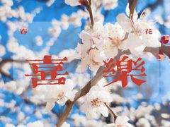 -北京明城墙遗址公园