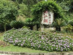 -广州白江湖森林公园