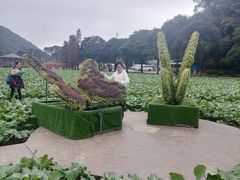 -广州市石门国家森林公园