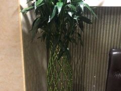 -顺风海鲜港(长寿路店)