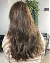 -蚂蚁造型俱乐部