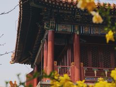 -故宫博物院(故宫)