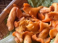 -滇野云南野生菌餐厅(陕西南路店)