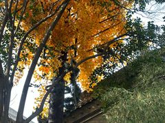 -西安市广仁寺