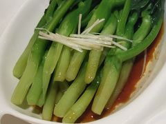-金春禧(世茂国际广场店)