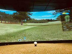 -奥悦荟城市高尔夫俱乐部(文化路万达广场店)