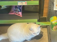 -木沐影咖(鑫乐汇购物广场店)