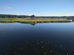 -塞罕坝国家级自然保护区