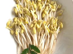 溶洞泉水豆芽-皇城老妈川味火锅·大连海鲜火锅(港湾店)