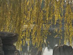 -莲池书院博物馆