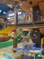 -卡通尼·Safari非洲探索乐园·生日会(金桥国际商业广场店)