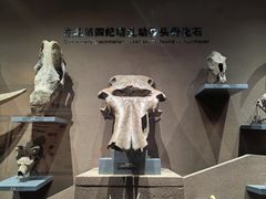 -大庆市博物馆