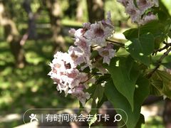 -香山公园