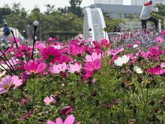 -龙环葡韵住宅式博物馆