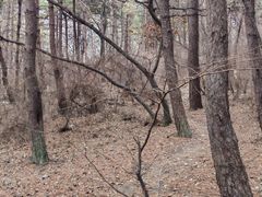 -沈阳辉山风景区