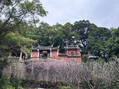 -草庵摩尼教遗址公园