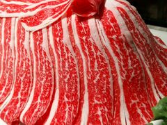 -龙福成肥牛火锅(文昌店)