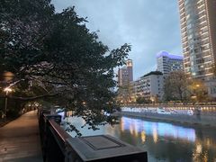 -成都市活水公园