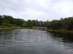 -松山湖梦幻百花洲