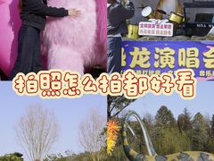 -中国西峡恐龙遗迹园