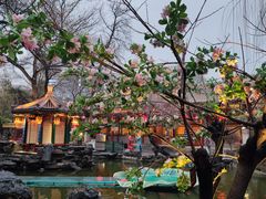 -白家大院·王府宫廷菜(苏州街店)