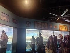 -海合安武汉极地海洋公园