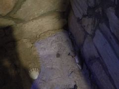 -秃鹫湾·推理大师沉浸式实景演绎推理剧场