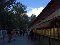 -宗角禄康公园