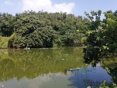 -长洲岛