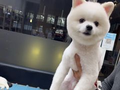 -宠颐生·恒爱宠物医院(静海店)