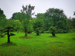 -东湖落雁景区