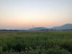-崖口煲仔饭