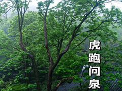 -虎跑公园