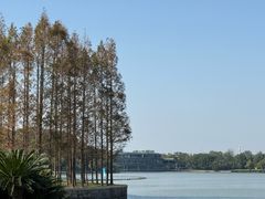 -上海月湖雕塑公园