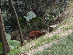 -广州市白云山风景名胜区