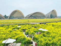 -中国天府农业博览园