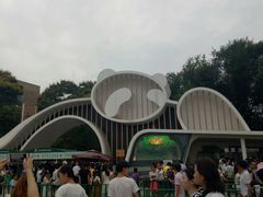 景点-成都大熊猫繁育研究基地