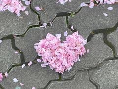 -武汉光谷K11