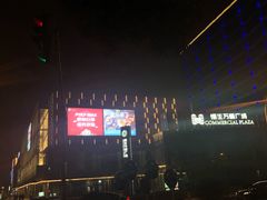-恒生万鹂广场(唐镇店)