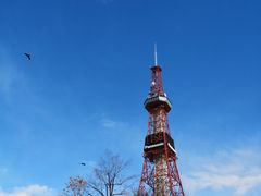 -札幌电视塔