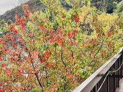 -天姥山