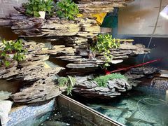 -山水茶艺馆·点心粤菜·30年老字号