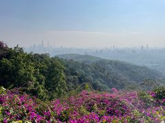 -广州市白云山风景名胜区