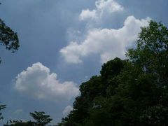 -火炉山森林公园
