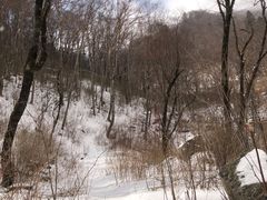 -秦岭风景区