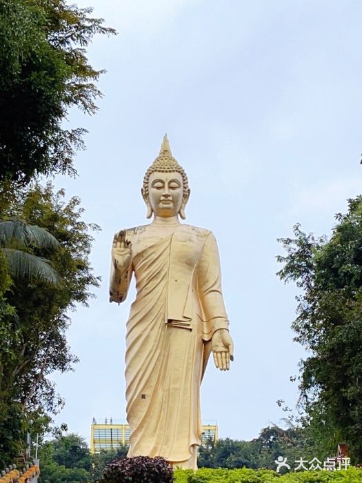 西双版纳勐泐文化旅游区图片