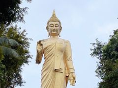 -西双版纳勐泐文化旅游区