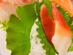 三文鱼刺身-鮨桐日本料理(望京店)