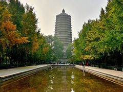 -玲珑塔公园