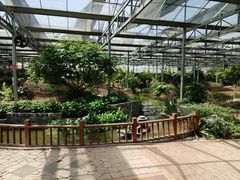 -嬉乐湾休闲旅游区